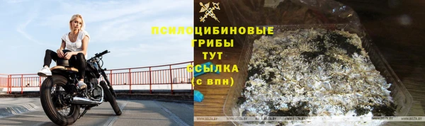 ПСИЛОЦИБИНОВЫЕ ГРИБЫ Алексин