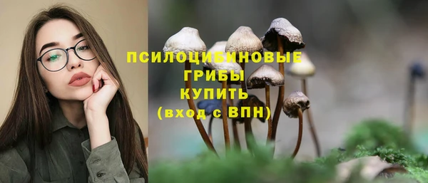 прущие крисы Алексеевка