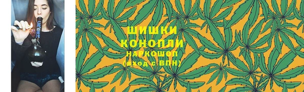 гашик Чекалин