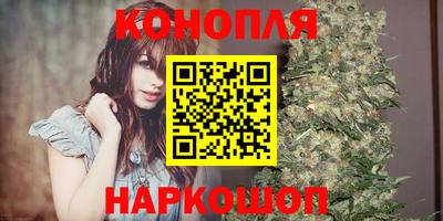 сатива Заводоуковск