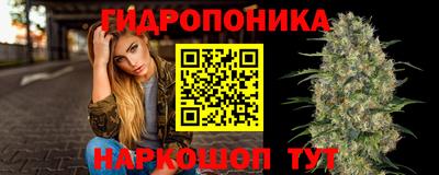 сатива Заводоуковск