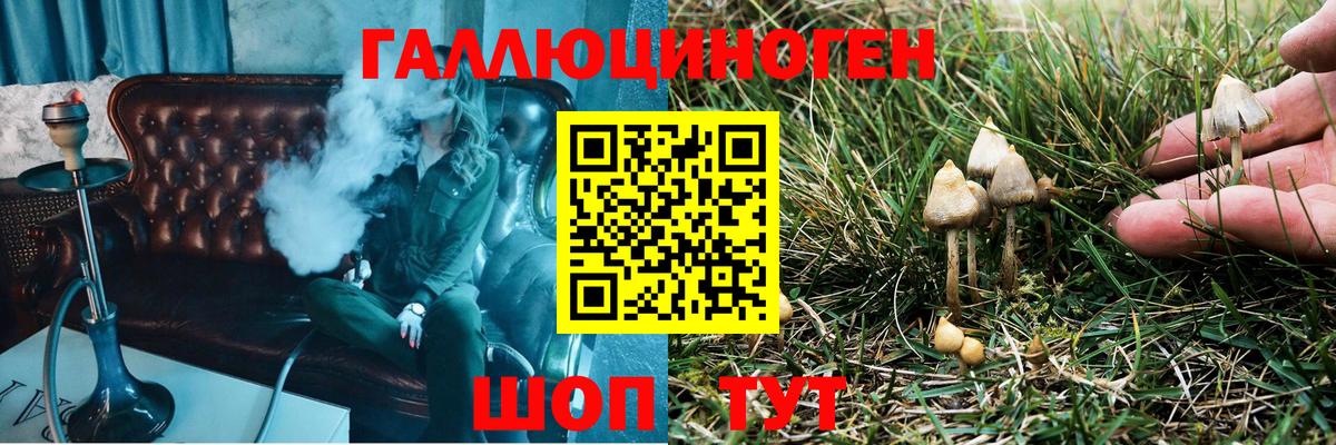 Энгельс  Псилоцибиновые грибы ЛСД  Вход с VPN 