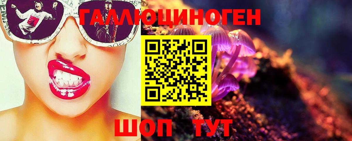 Энгельс  Галлюциногенные грибы GOLDEN TEACHER  Вход с VPN 