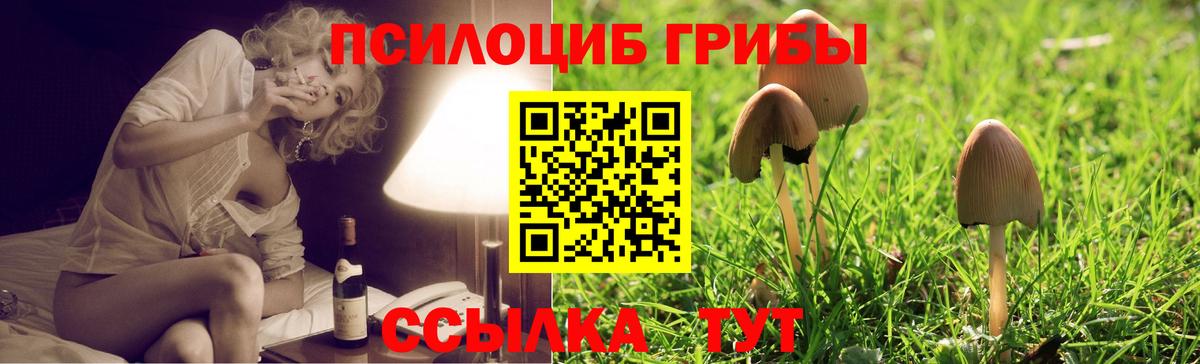 Псилоцибиновые грибы ЛСД Энгельс